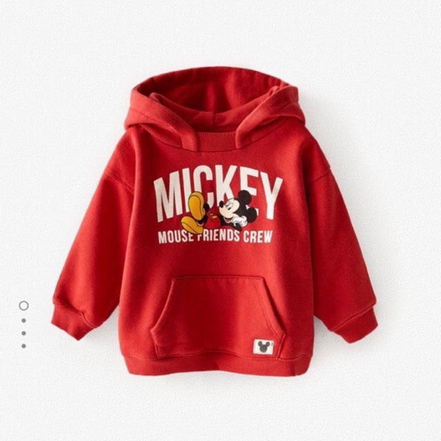 Áo nỉ có mũ Zara