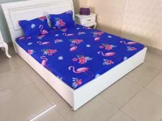 Sét ga gối M8