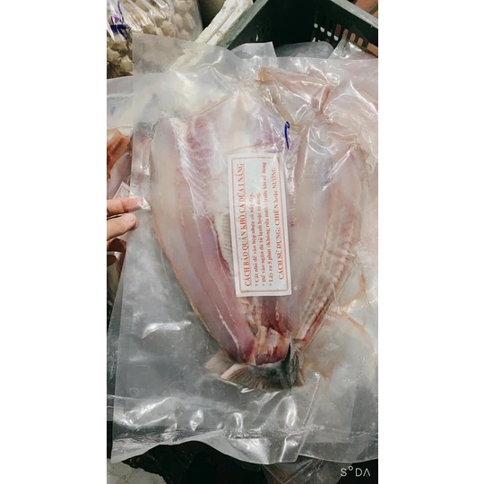 [GIAO HỎA TỐC] CÁ DỨA NUÔI 1 NẮNG NGUYÊN CON - Trọng lượng 1kg