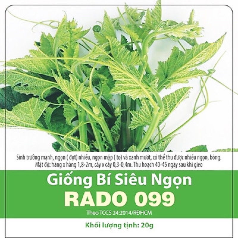 Hạt giống Bí Siêu Ngọn 099 (20gr)