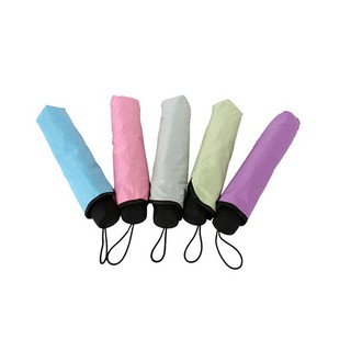 Ô NỞ HOA THẦN KÌ[ GIÁ CHUẨN SHOPEE ]