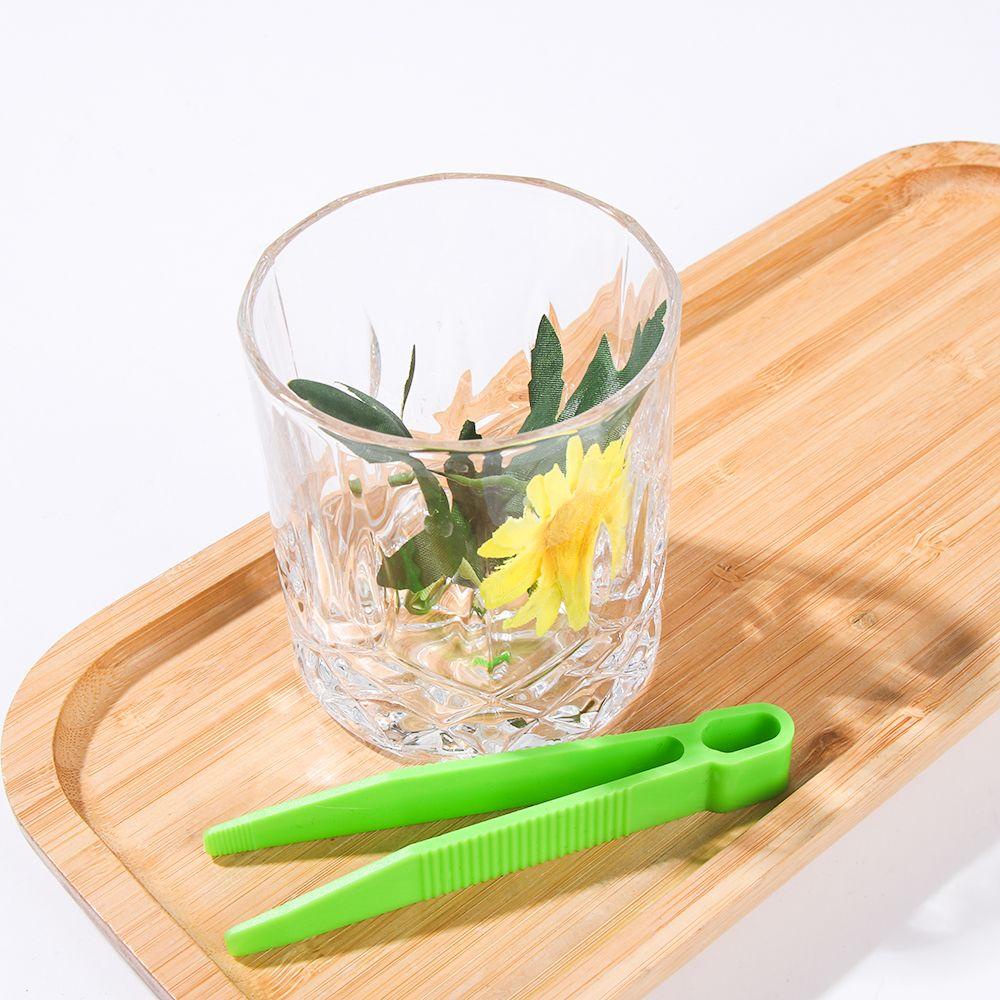 Bộ Đồ Chơi Khám Phá Thiên Nhiên Bằng Nhựa Kèm Nhíp Dành Cho Bé