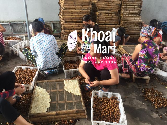 LONG NHÃN HƯNG YÊN SẤY THỦ CÔNG