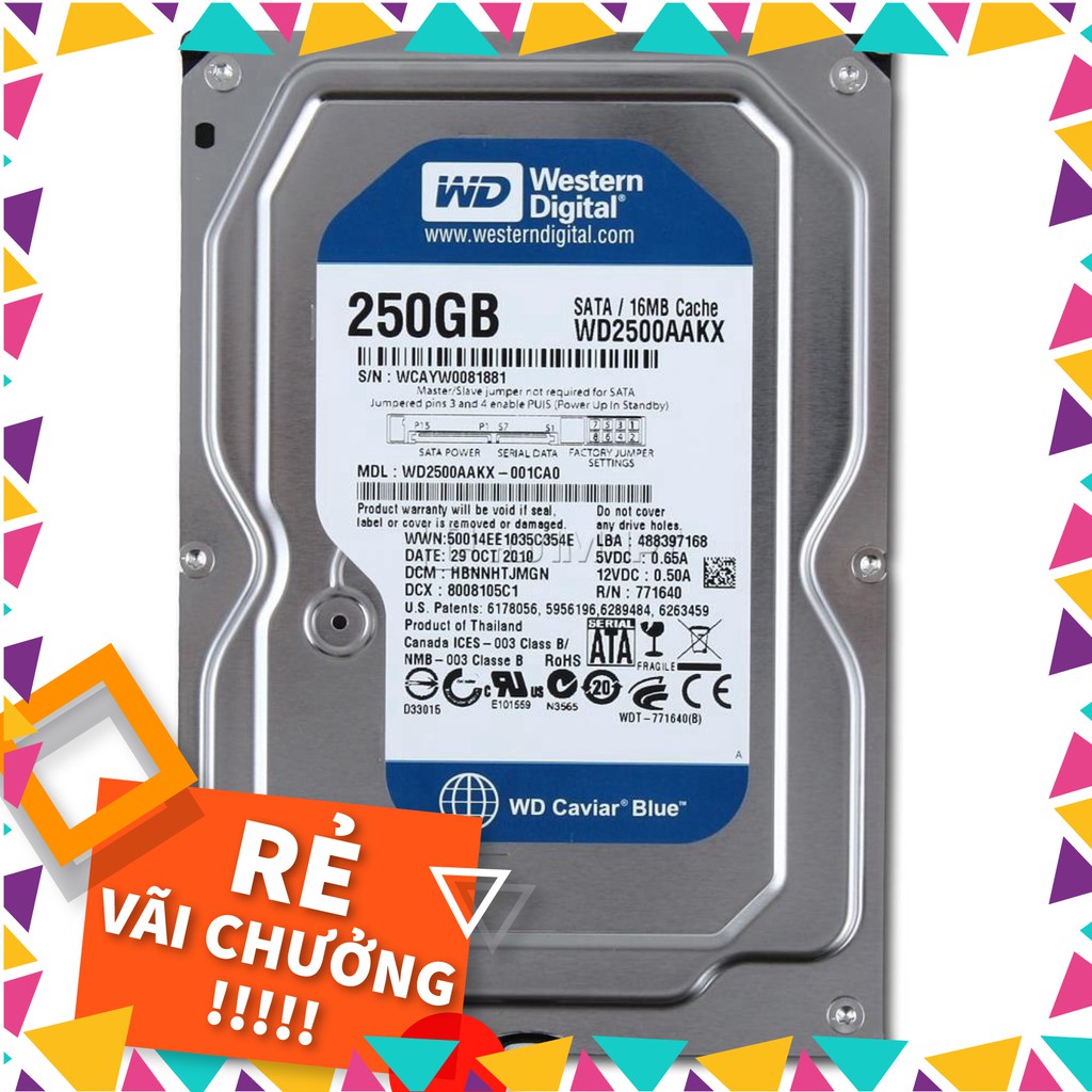 Ổ cứng chuyên dụng Camera 250GB Western Digital, Seagate - Chính hãng Bh 24th - C