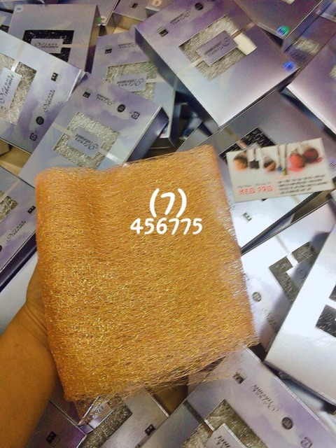 Ren lưới chụp ảnh , đắp ẩn gel làm móng tay chân