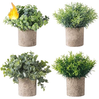 Set 4 chậu cây giả mini bằng gỗ bạch đàn dùng trang trí