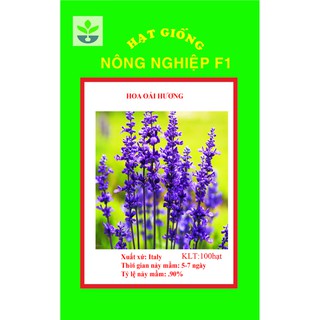 100 hạt giống hoa oải hương nhiều màu