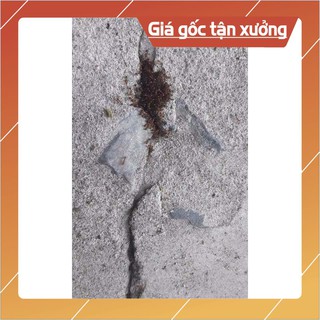  THUỐC DIỆT KIẾN, DIỆT GIÁN THẦN THÁNH