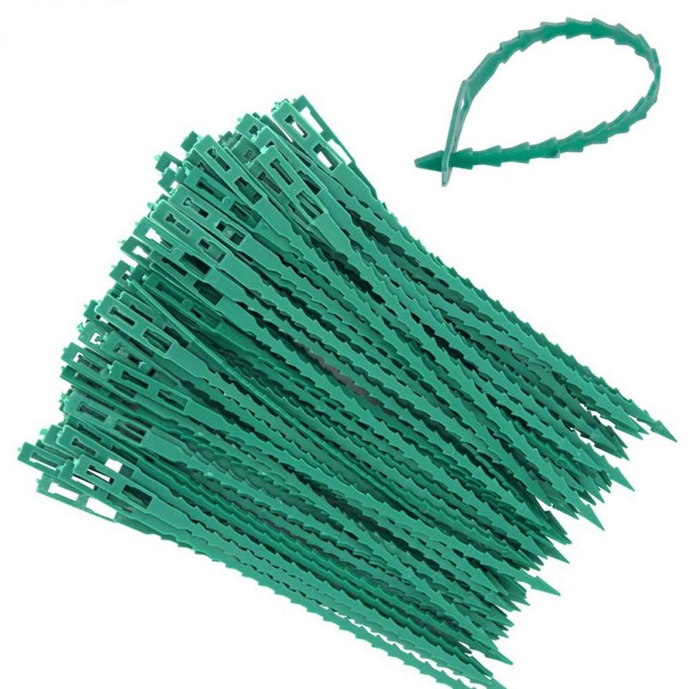Dây Cáp Cột Xương Cá Chống Ăn Mòn Có Thể Điều Chỉnh Hỗ Trợ Tăng Trưởng Cho Sân Vườn