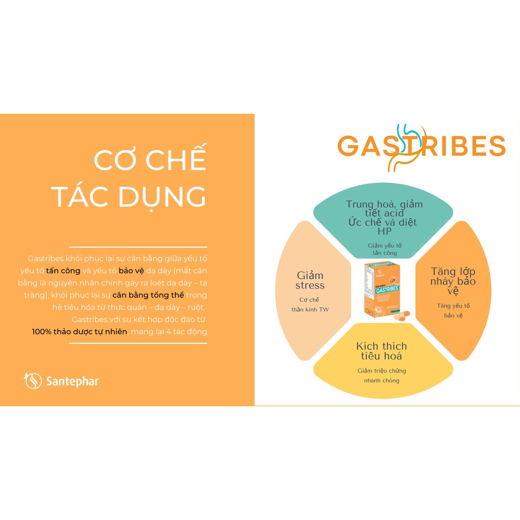 GASTRIBES – GIẢM TRÀO NGƯỢC, VIÊM LOÉT DẠ DÀY, TÁ TRÀNG TỪ THẢO DƯỢC