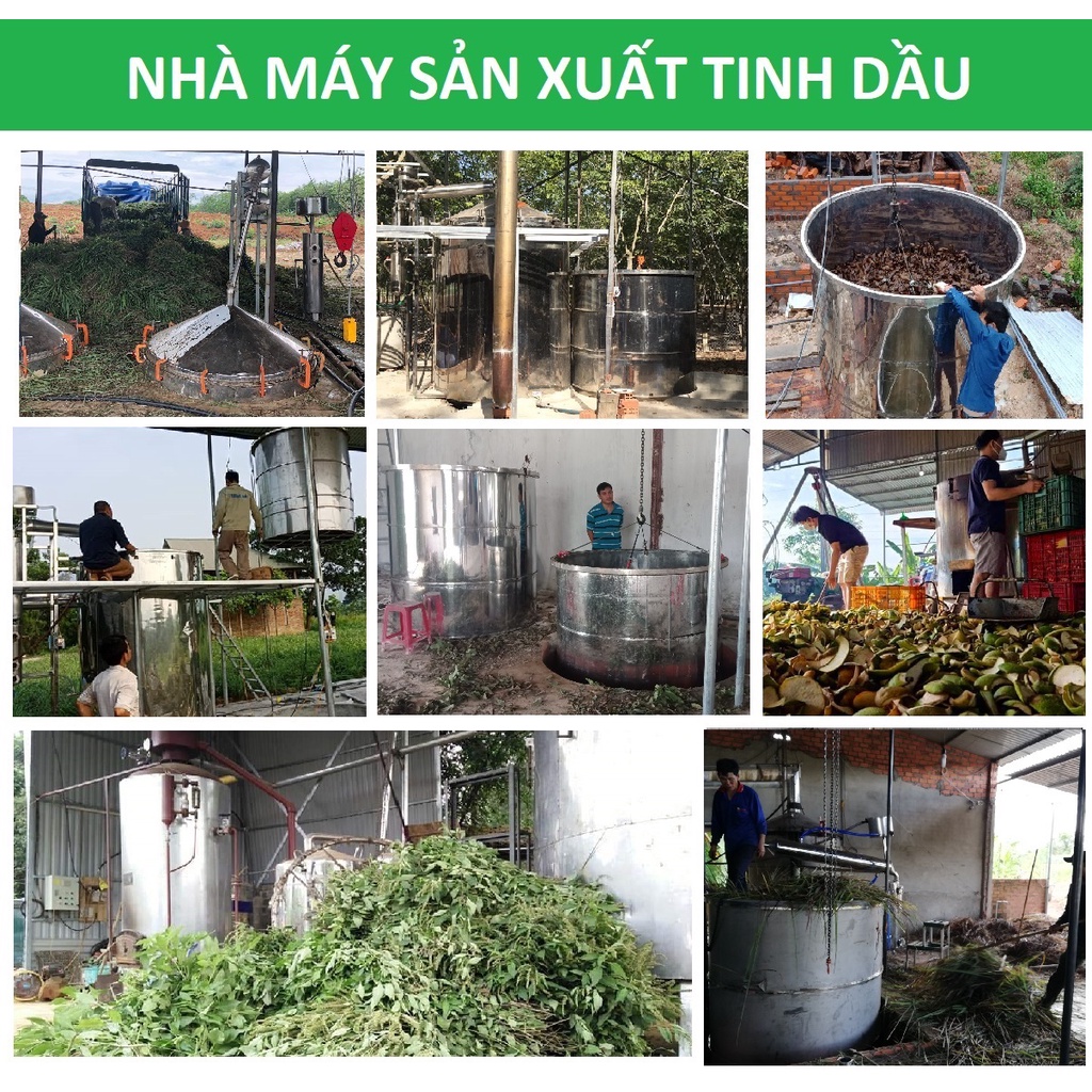 Tinh dầu Cam ngọt Thảo Mộc, xuất khẩu Châu Âu, nguyên chất 100% từ thiên nhiên, xông thơm phòng, thư giãn, đuổi muỗi