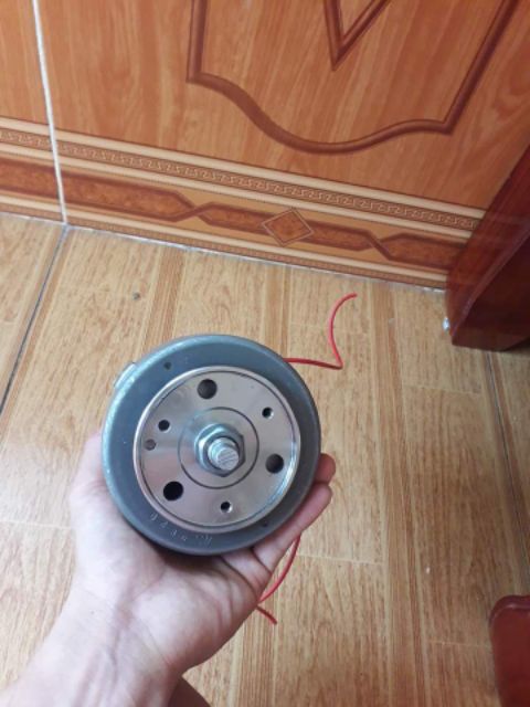 Máy phát điện gắn xe máy. củ phát điện