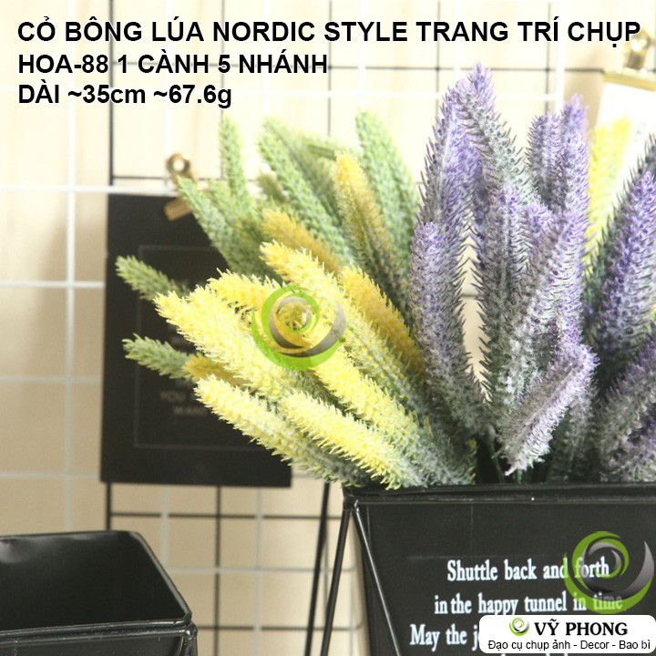 CỎ BÔNG LÚA ĐẠO CỤ TRANG TRÍ DECOR INS NORDIC STYLE HOA-88