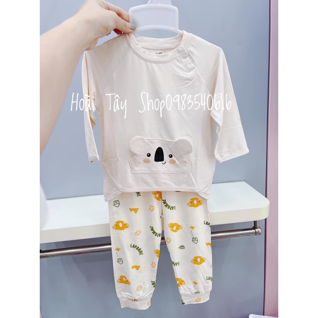 BỘ DÀI KOALA TINH NGHỊCH