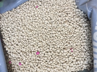 Catsan lót chuồng cho hamster