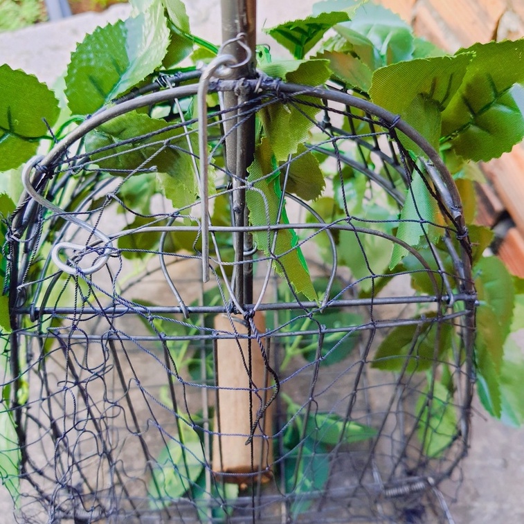 Lụp Bẫy Chim Cu Gáy Rẻ Nhất Thị Trường