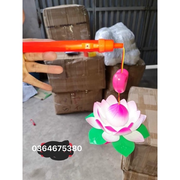 Đèn lồng hoa sen có nhạc và đèn