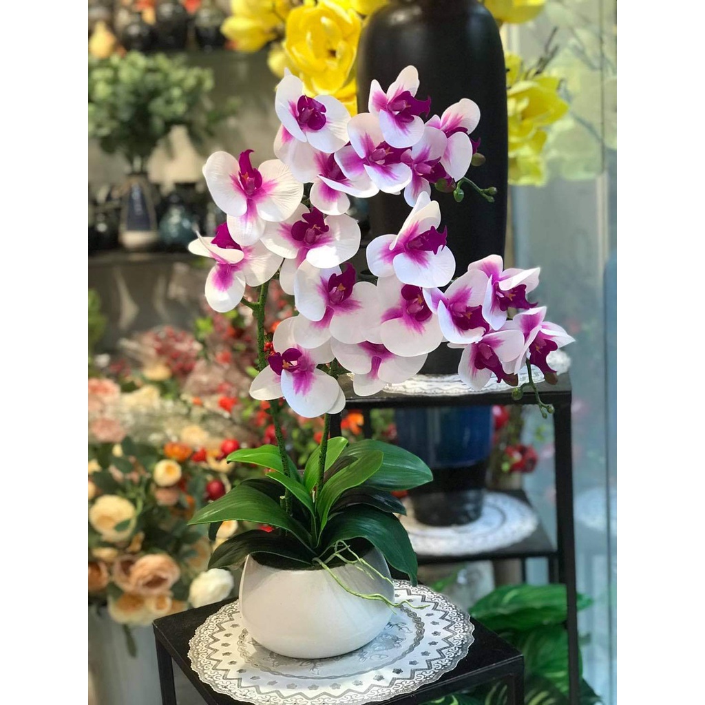 [Mã BMBAU50 giảm 7% đơn 99K] Chậu hoa giả lan hồ điệp chất cao su cao cấp PKND FLOWERS &amp; DECOR