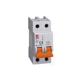 APTOMAT 2 Pha MCB LS 2P BKH 2P 80-100A 10kA