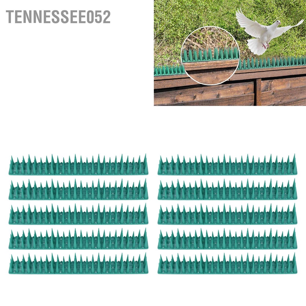Tennessee052 10PCS 36 CM Chim răn đe bằng nhựa Spike chống trộm Tường cho sân vườn
