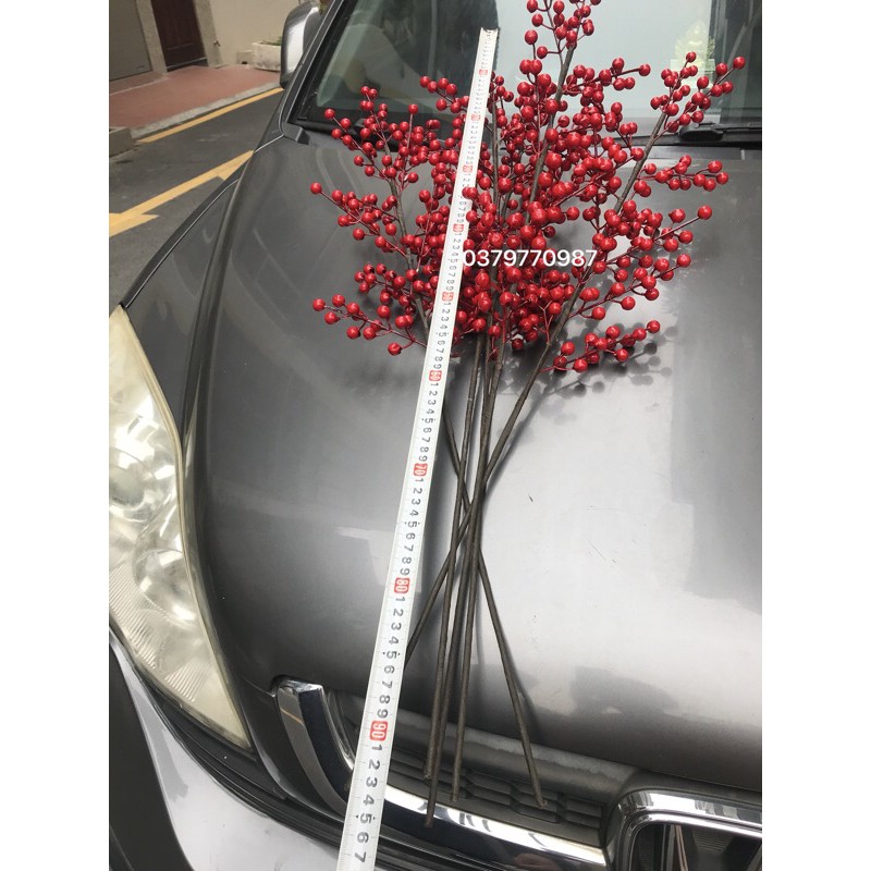 [LOẠI 1] Cành Đào đông đỏ, 1 cành 12 nhánh hàng đẹp to tròn, cành quả chery