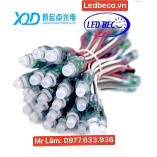 BÓNG LED FULL 1903 XQD (DÂY NGẮN)
