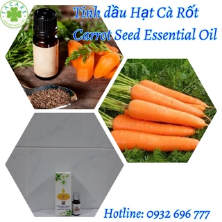 Tinh Dầu Hạt Cà Rốt Carrot seed essential oil - 100ml