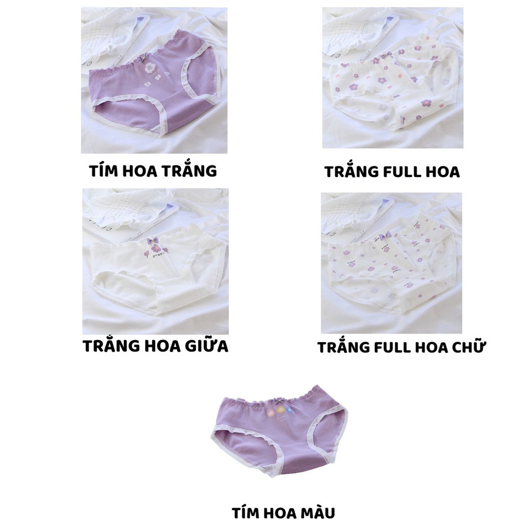 Quần Lót Nữ - Quần Lót Nữ Cotton len tăm viền nhún tôn dáng đính nơ nhỏ dễ thương trẻ trung DAN STORE MÃ A305