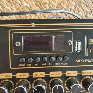 🔜 Mạch Âm Sắc Zin Mạch Echo - Bluetooth - Tấm Sắt