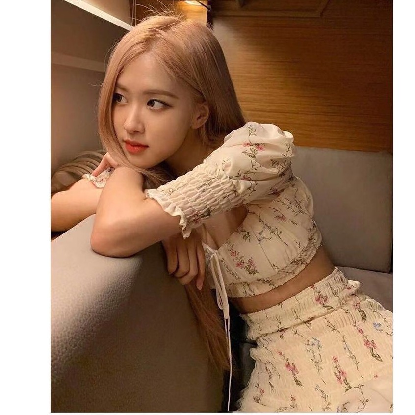 Set Áo Crop Top Tay Ngắn Họa Tiết Hoa Hồng Phối Chân Váy Mini Thời Trang Dành Cho Bạn Gái