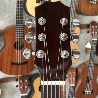 Đàn Guitar Acoustic HD120