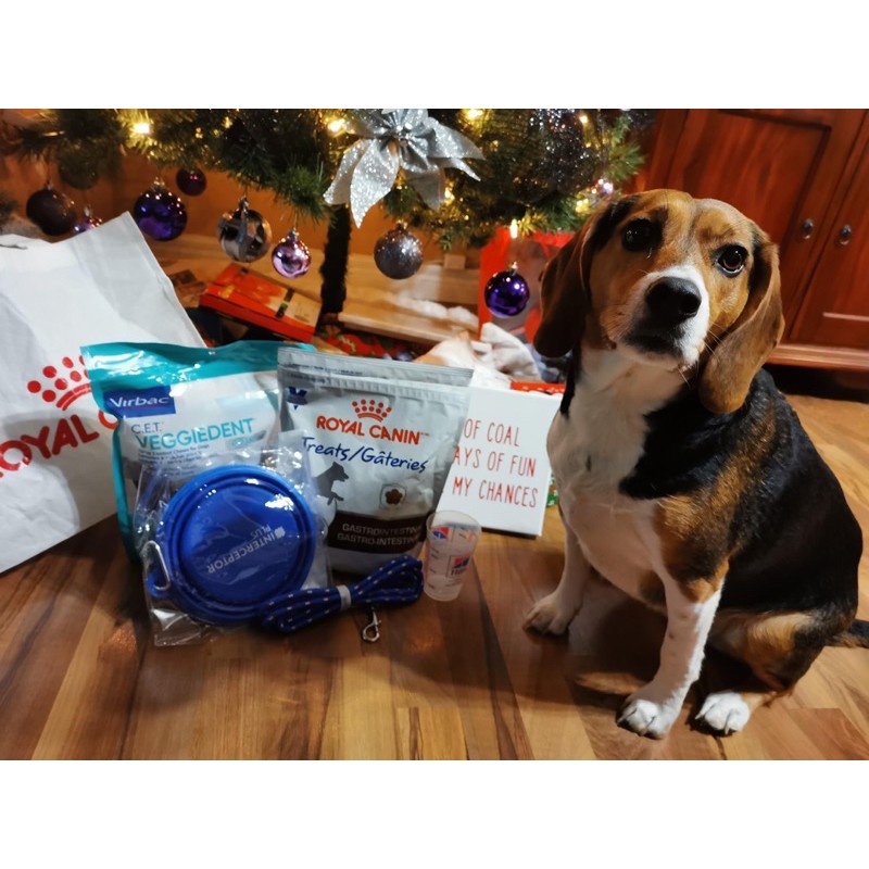 Thanh nhai sạch răng cho chó Veggiedent Fresh Virbac - Thanh gặm Vegiedent Vibac thơm miệng cho cún(15thanh) HuniPetshop