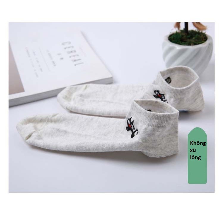 Combo 2 đôi tất nữ cotton kháng khuẩn - 100k