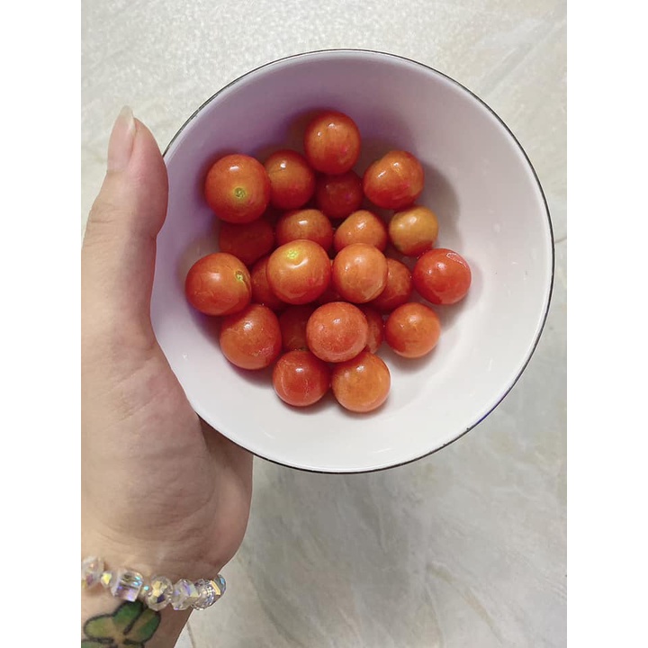 [Bán sỉ] - Hạt giống cà chua cherry bi chùm đỏ (cà chua chuỗi ngọc)