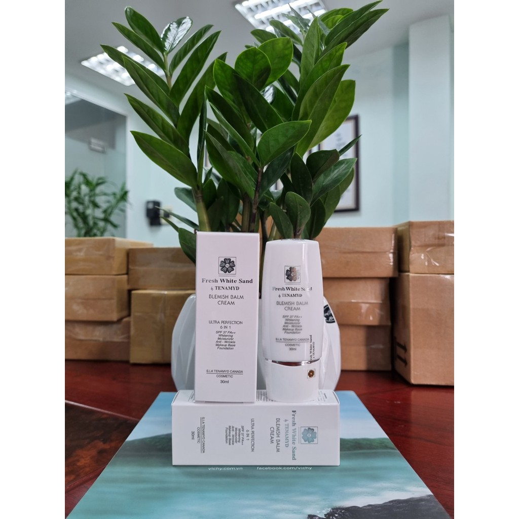 Kem nền che khuyết điểm Fresh White Sand