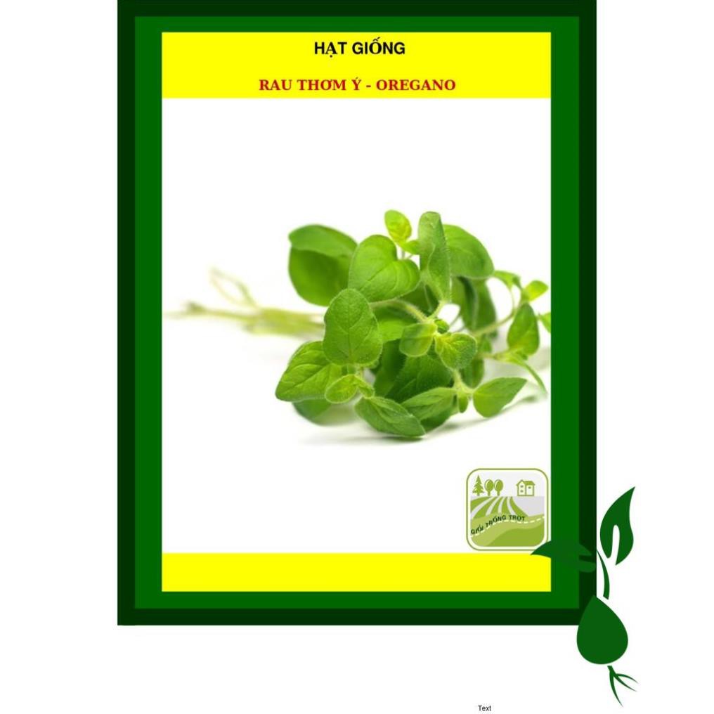 Hạt Giống Rau Thơm Các Loại (Mè Hàn Quốc, Oregano, Parsley, Thyme, Tía Tô Beefsteak plant )