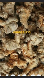 Tam thất bắc hàng xịn