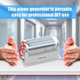 Máy Phát Điện Ozone 220v 12g