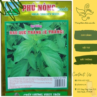 Hạt giống phú nông - rau quế trắng gói 1g - hạt giống - rau gia vị