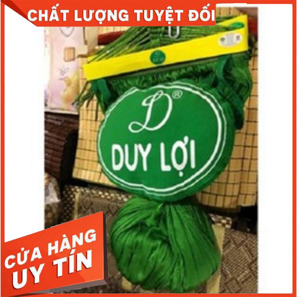 [Siêu Sale] Lưới Võng Xếp Duy Lợi kèm Gối - Cỡ lớn loại 18 lỗ - Không kèm khung | BigBuy360 - bigbuy360.vn