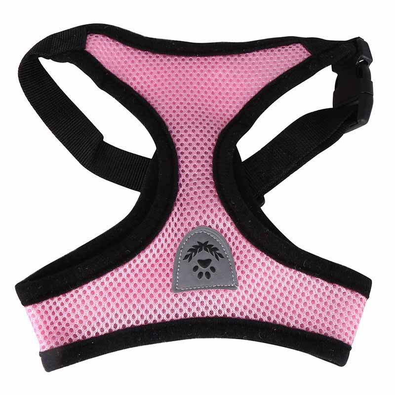 Áo nịt dắt cún cưng đi dạo