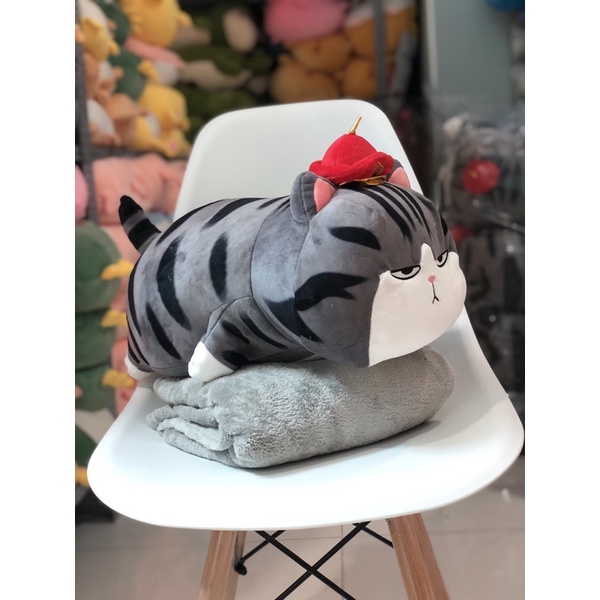 Bộ chăn gối văn phòng mèo hoàng thượng