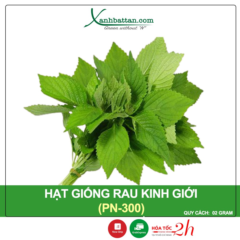 Hạt Giống Rau Kinh Giới Phú Nông Gói 2 Gram