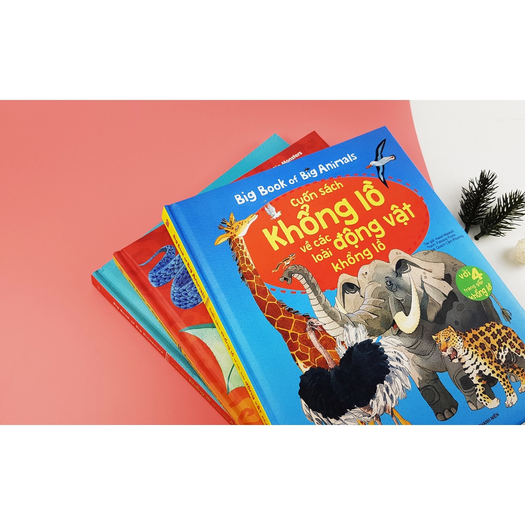 Sách Tương Tác - Big Book - Cuốn Sách Khổng Lồ – Đinh Tị (Nhiều chủ đề)