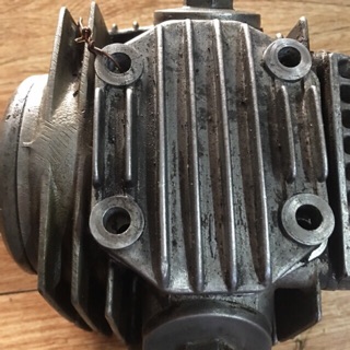 Đầu bò dream thái sịn