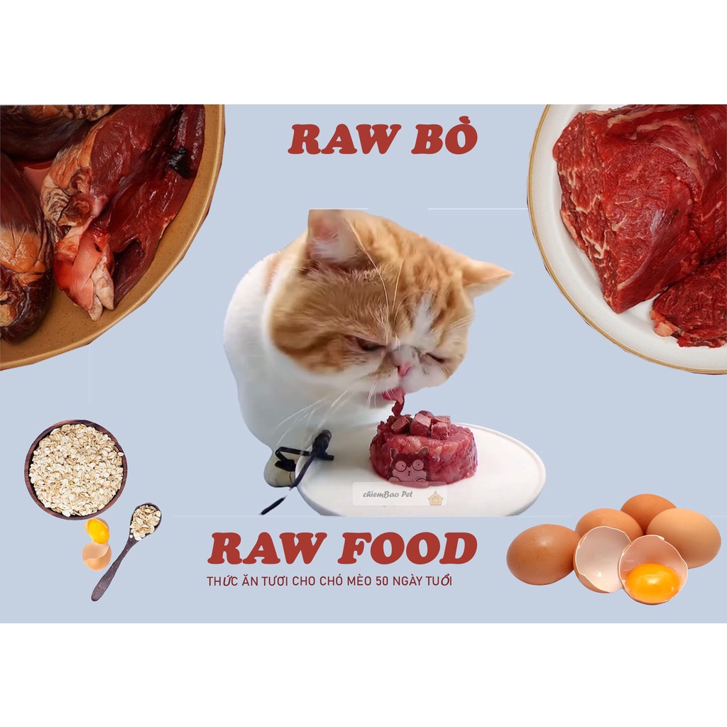 Raw food thức ăn tươi cho mèo - Pate tươi cho mèo rawfood ( GIAO 1H )