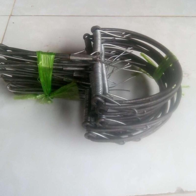 BẪY CHUỘT BÁN NGUYỆT/ BẪY CUNG ĐƯỜNG KÍNH 13CM/ 15CM