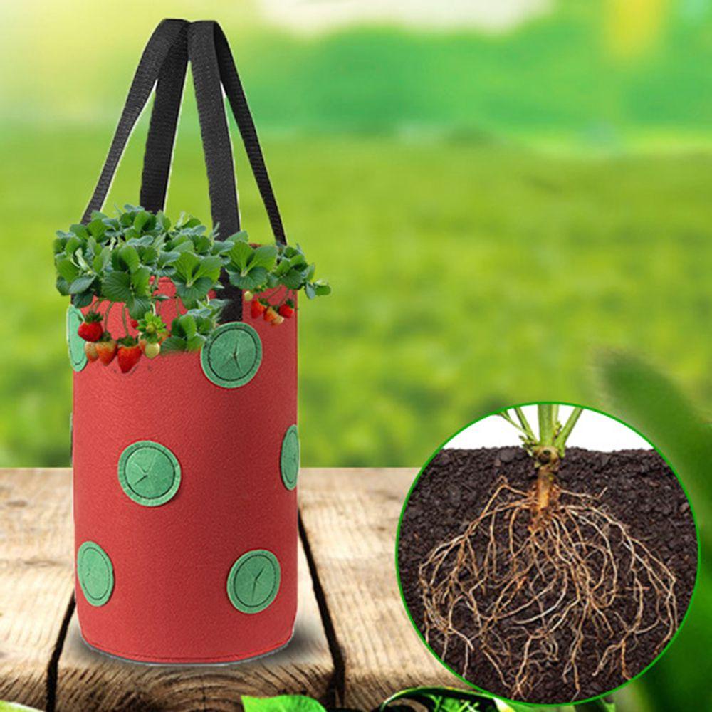 ZAIJIE24 Túi Trồng Cây 12 Lỗ Bằng Vải