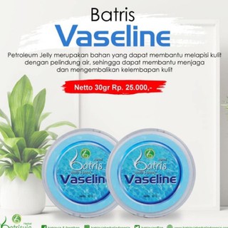 Bình Hoa Kèm Vco Trang Trí Nhà Cửa Xinh Xắn