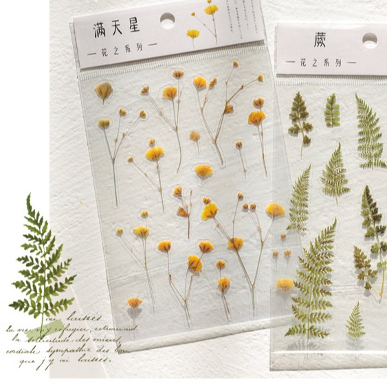 &lt;Video Review&gt; Hình Dán Sticker Cute Hoa Lá Trang Trí Sổ Trang Trí Sổ Tay Mohamm Điện Thoại Vở Khay Đựng Bút M021